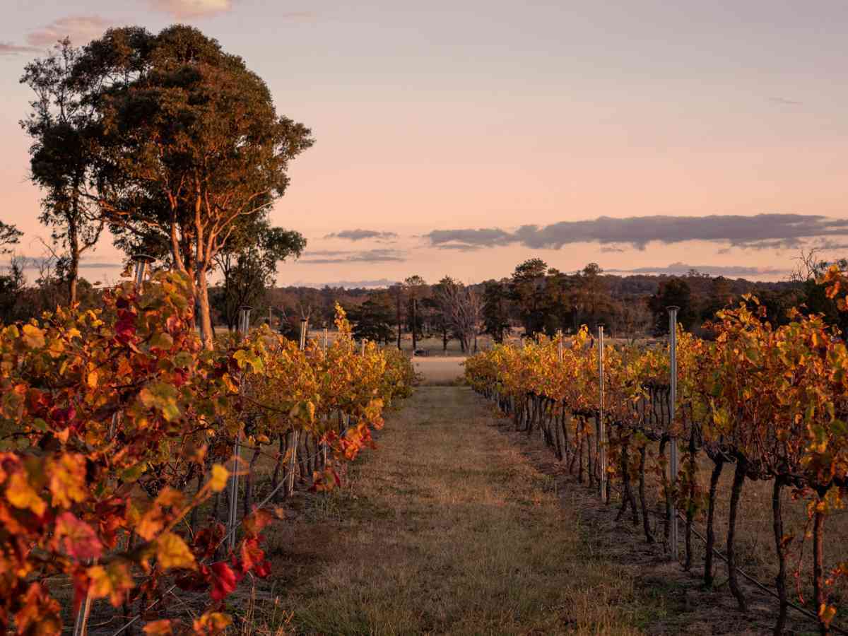 Warwick weekend getaway near Granite Belt vineyards